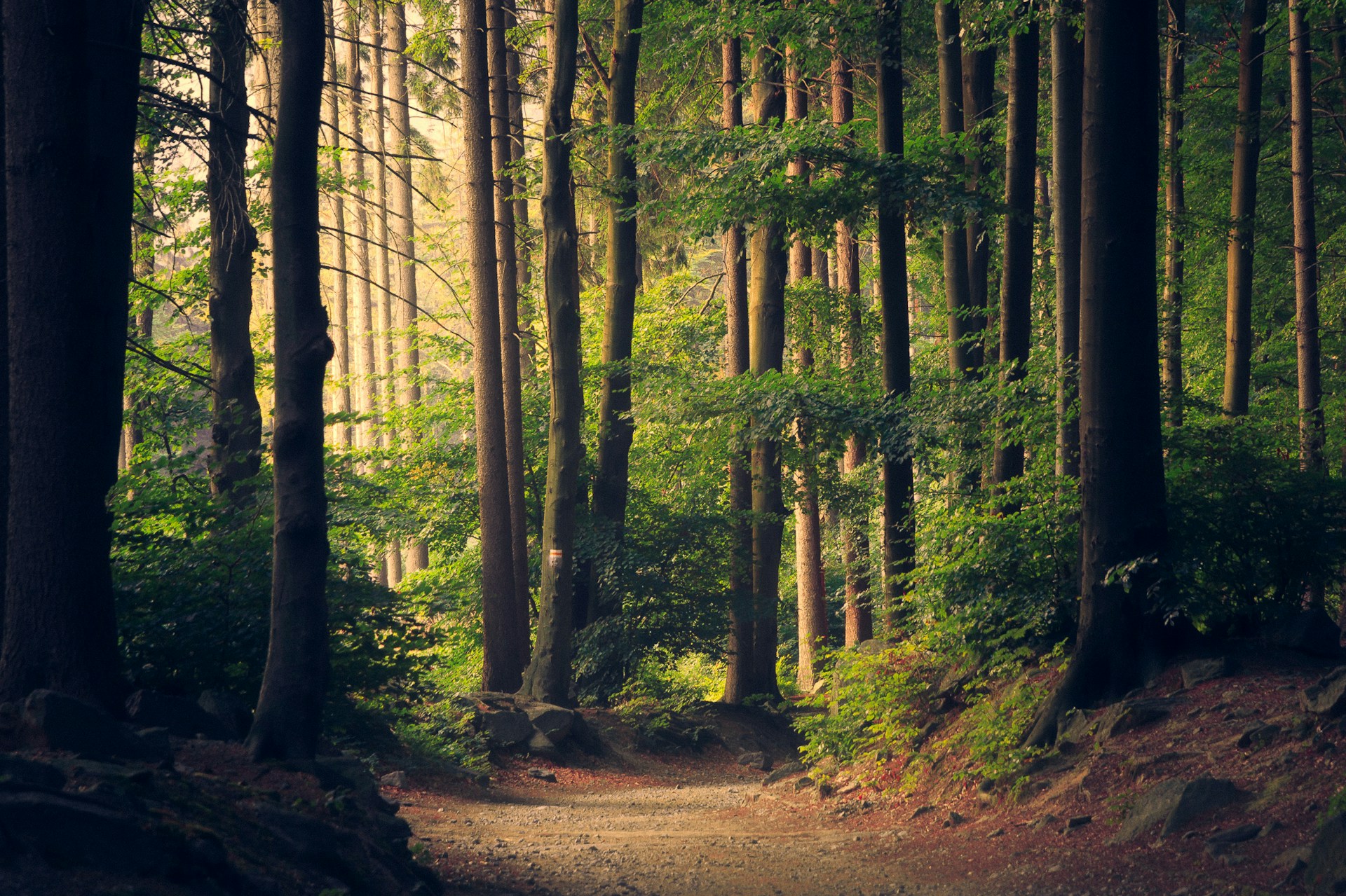 Norddeutsche Landschaft